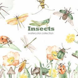 Insects. Watercolor Clipart. Beetles, dragonfly, spider, grasshopper, ladybug, praying mantis, ant, moth, grass, leaves,