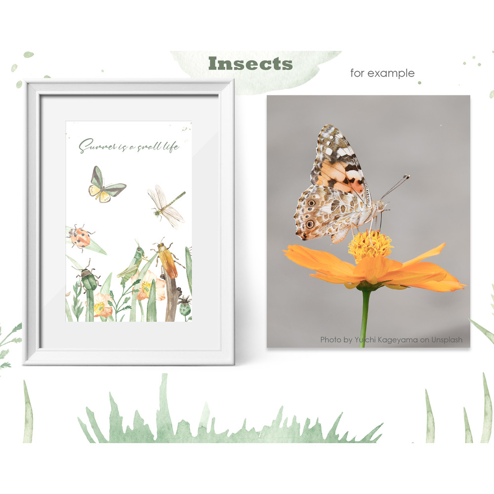 6 Insects watercolor collection pre-made card.jpg