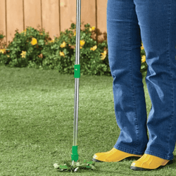 twistable 3-pronged standing plant root remover
