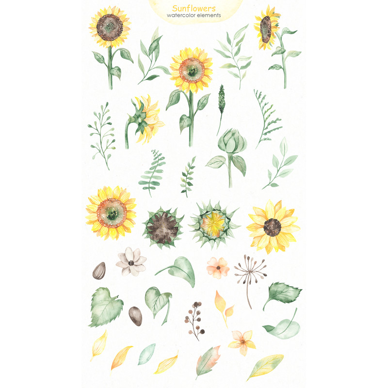 1 Sunflowers watercolor pin.jpg
