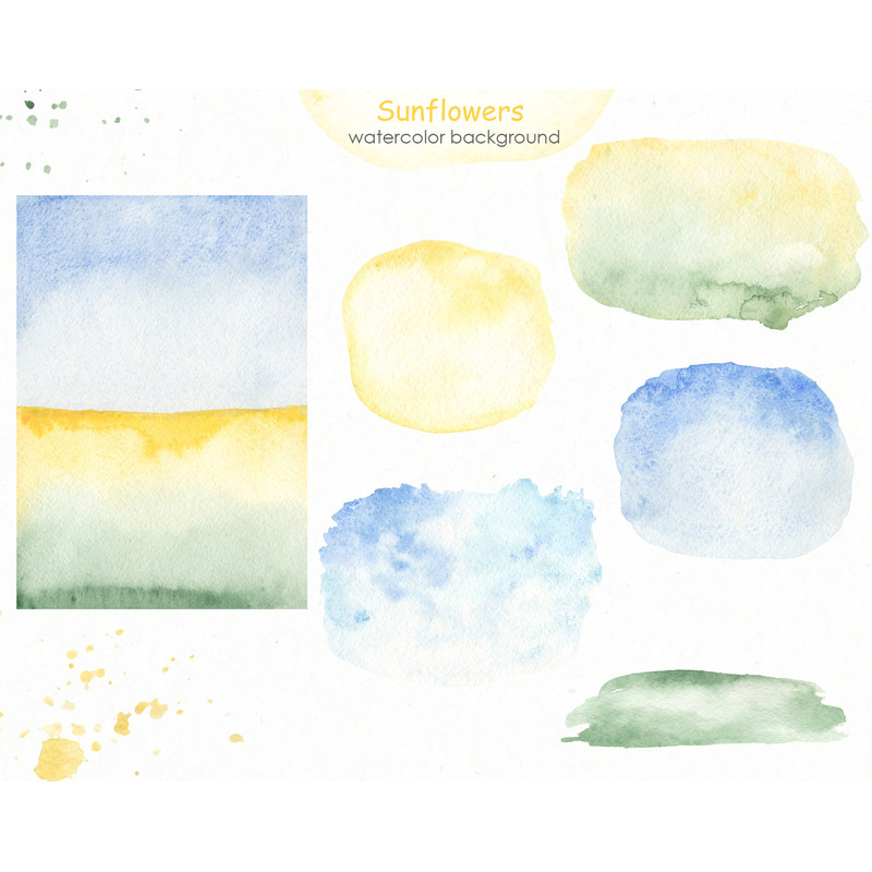 4 Sunflowers watercolor backgrounds.jpg