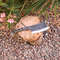 il_794xN.2823874035_qw56.jpg
