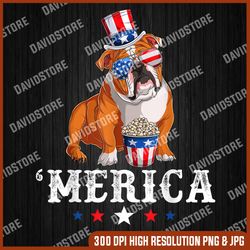merica bulldog usa american flag english bulldog 4th of july, memorial day, american flag, independence day png file