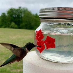 Beautiful Mason Jar Hummingbird Feeder With Three Ports