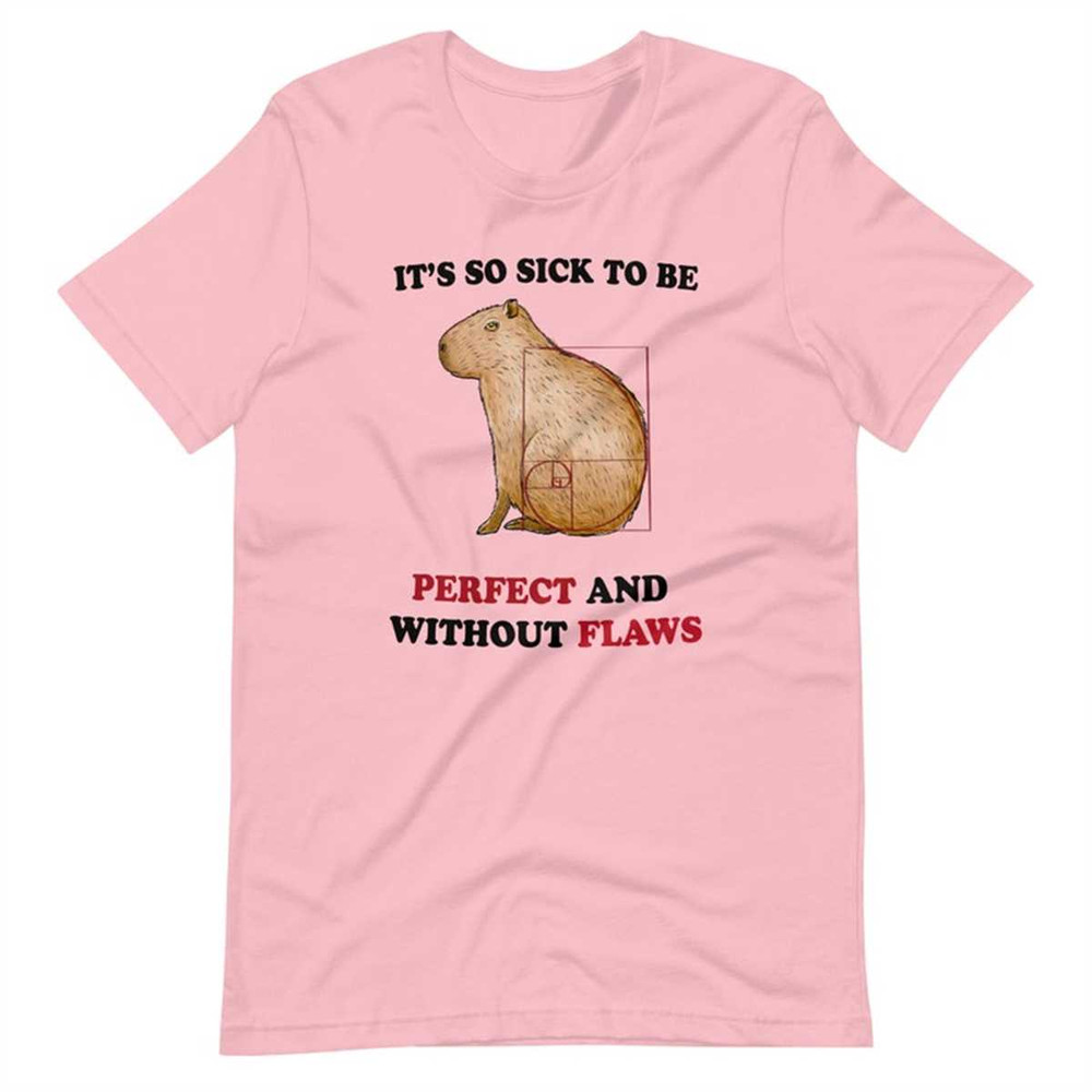 MR2642023213649perfectlyflawlessunisextshirtjpg