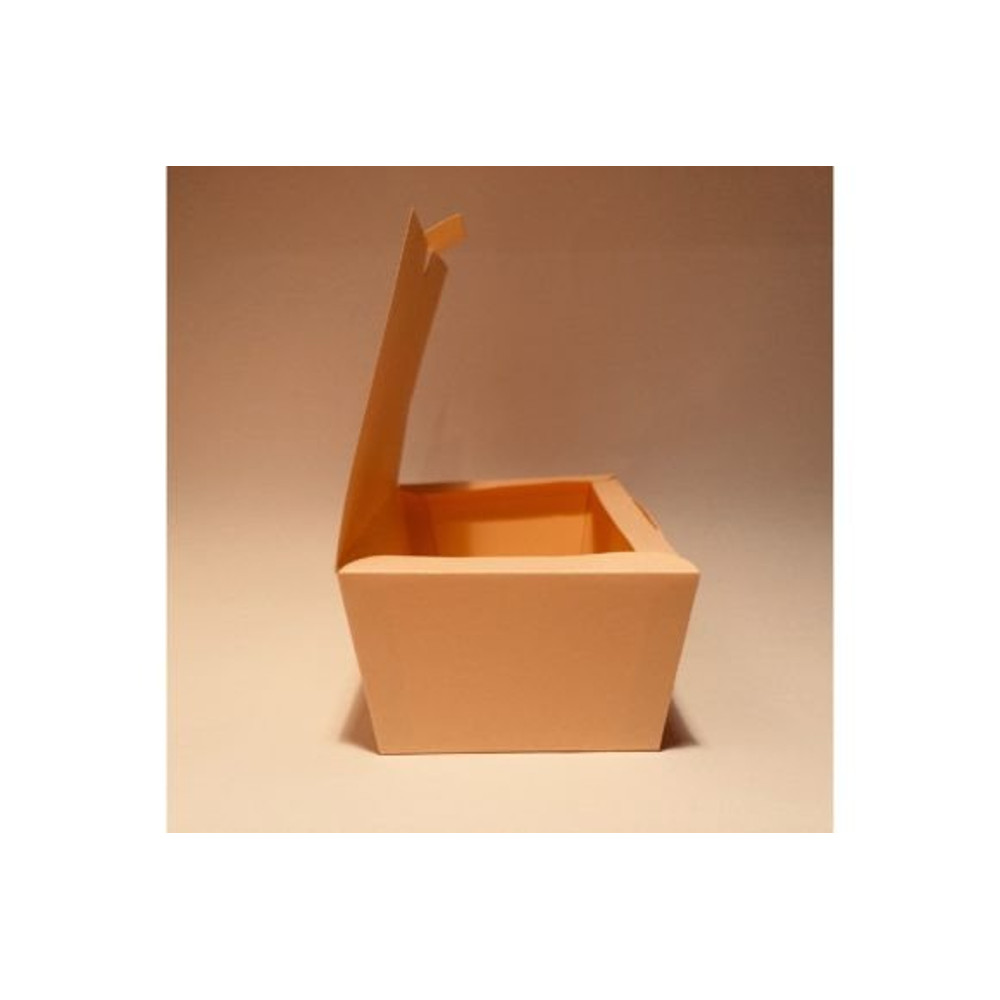 BOXTEM774.jpg