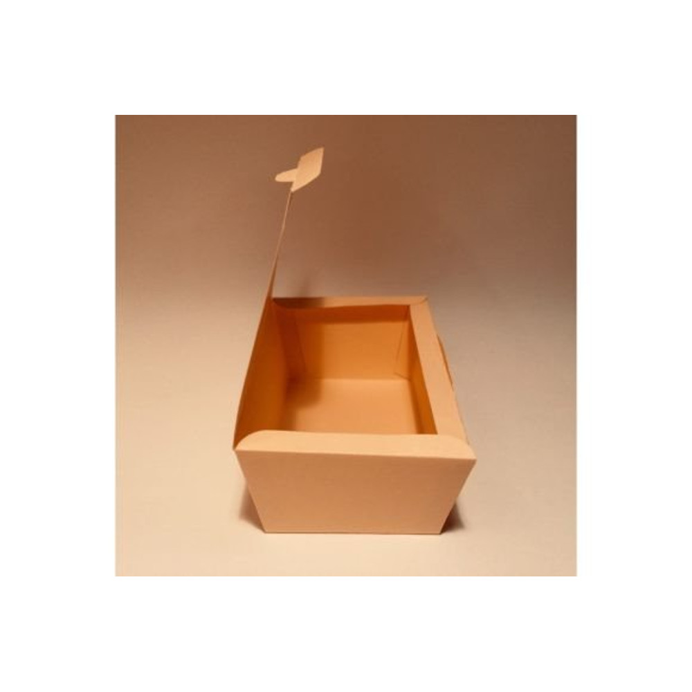 BOXTEM775.jpg