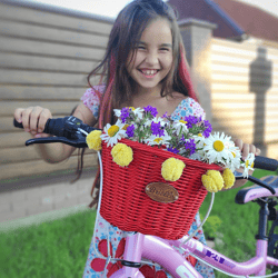 Red bike basket. Kid wicker bike basket. Bicycle basket. Bike bag. Bike accessories. Rainbow basket. Gift basket.