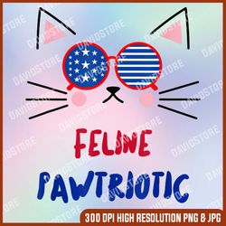 4th of july cat independence day patriot usa for cat lover memorial day, american flag, independence day png file