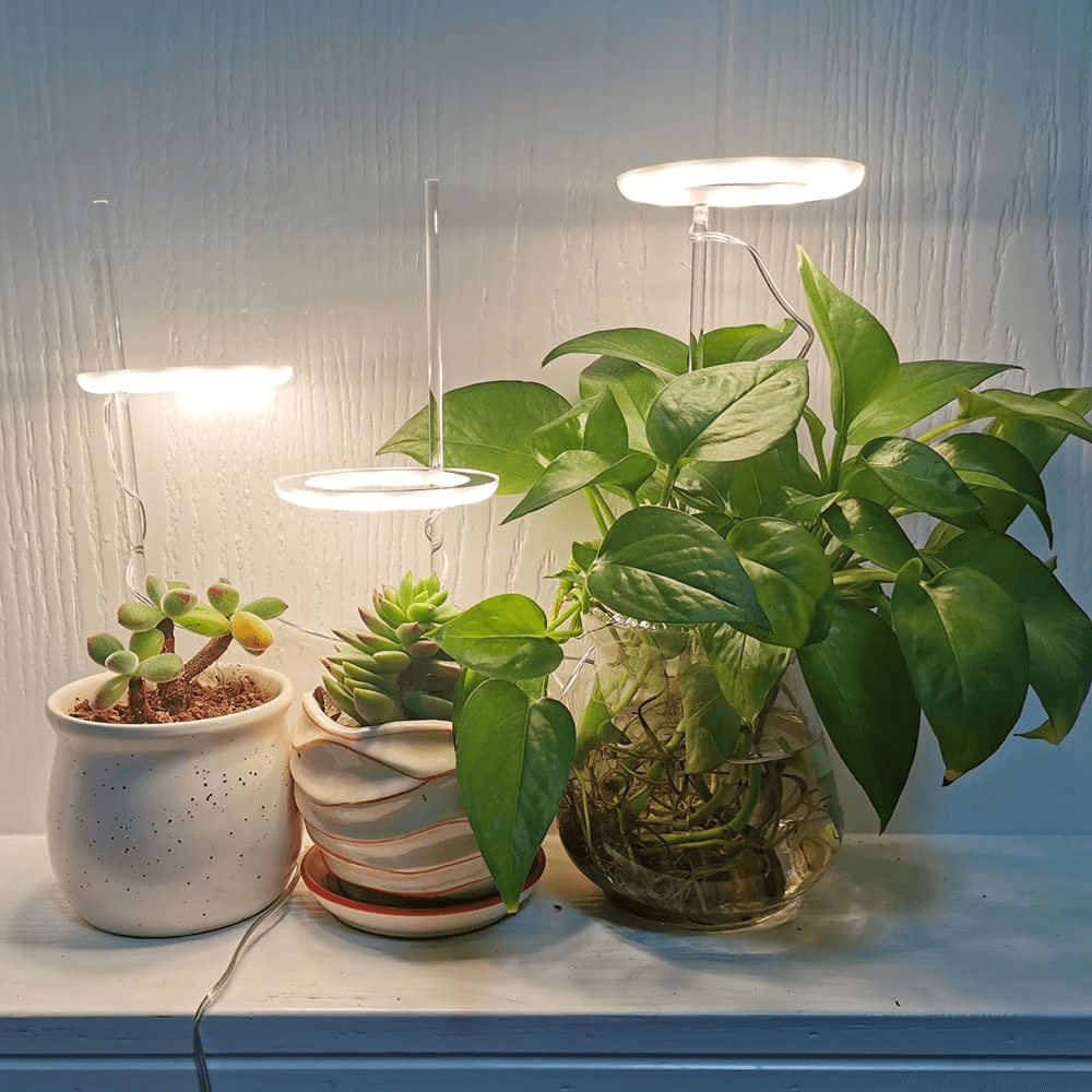stylishringgrowlightforindoorplants1.png