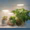 growthmaximizingledgrowlightforindoorplants1.png