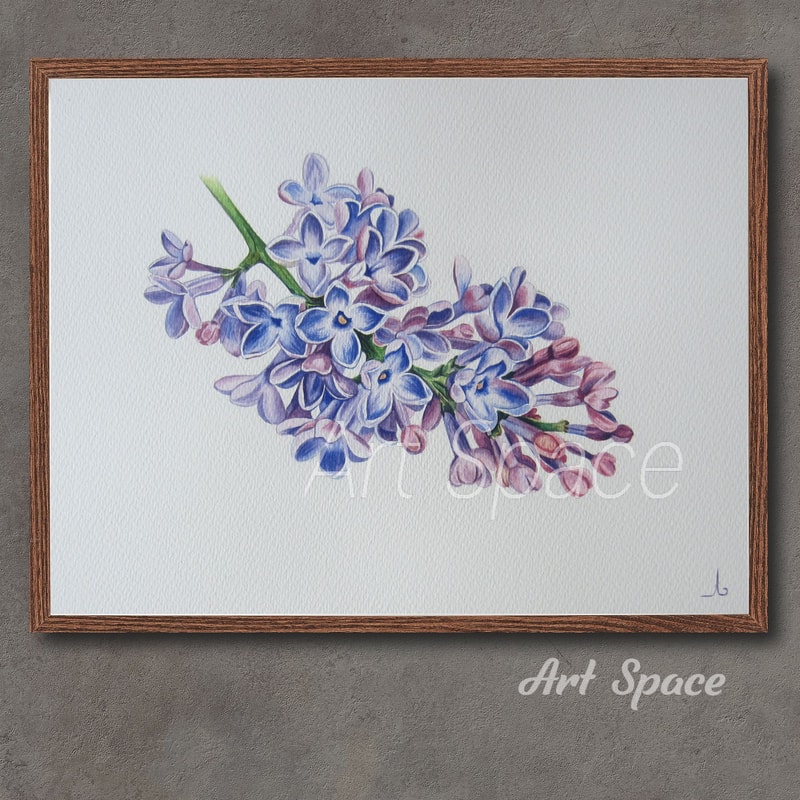 Syringa-painting-flower.jpg