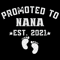 Promoted-To-Nana-Svg-TD270321HT24.jpg