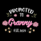 Promoted-To-Granny-Est-2021-Svg-MD020421HT10.jpg