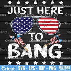 4th of july just here to bang png, 1776 png, american patriotic, the fourth of july, png,files for sublimation