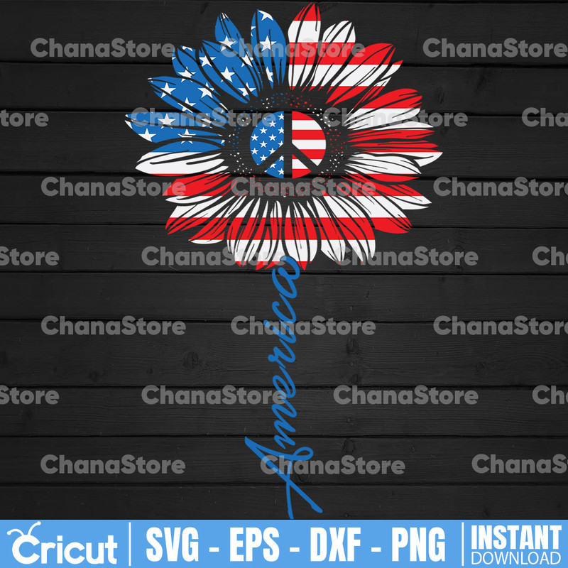 ChanaStore.jpg