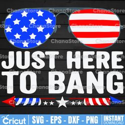 just here to bang 4th of july sunglasses svg, 1776 svg, american patriotic, the fourth of july, svg, png files