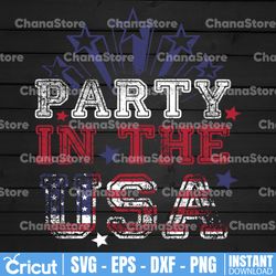party in the usa png, retro 4th of july sublimation designs downloads, patriotic america shirt women png usa flag tshirt