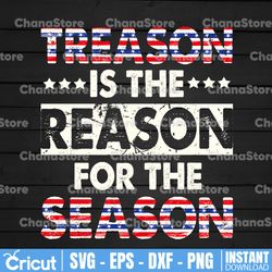 treason is the reason for the season png, funny 4th of july png, american flag png, patriotic, fourth of july, fireworks