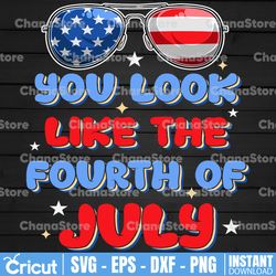 4th of july png, you look like the 4th of july svg, funny 4th of july png, fourth of july sunglasses png