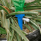 plantwateringspikeswithadjustablevalve2.png