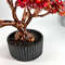 Red_bonsai.jpeg