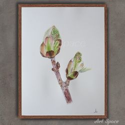 original watercolor painting "chestnut buds" kitchen decoration, botany, illustration, playroom, decoration for office