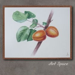 original watercolor painting "apricots" kitchen decoration, botany, illustration, playroom, decoration for office, art