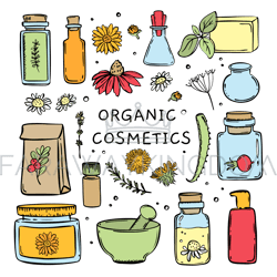 organic cosmetics color hand drawn sketch vector collection