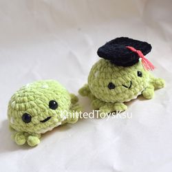graduation frog plushie toy, kawaii plushie birthday gift for best friend, roommate gift Graduate gift ideas toad toy