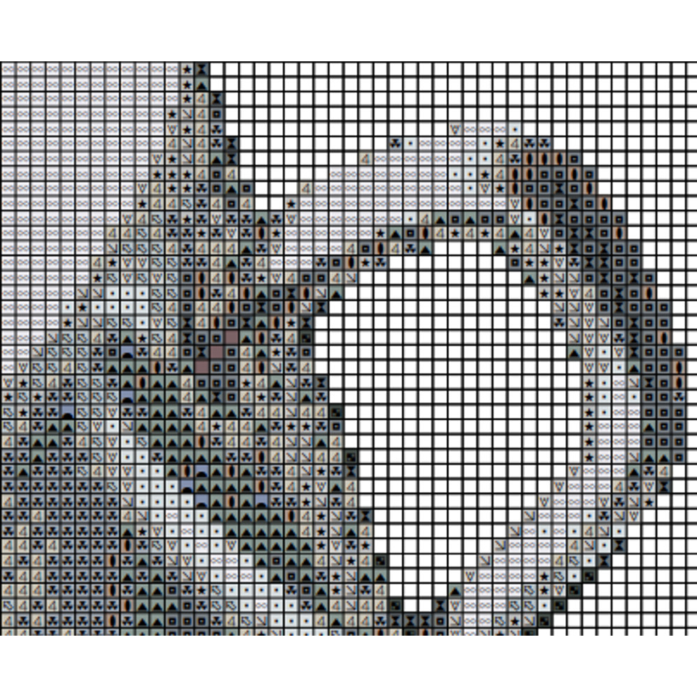 5.png