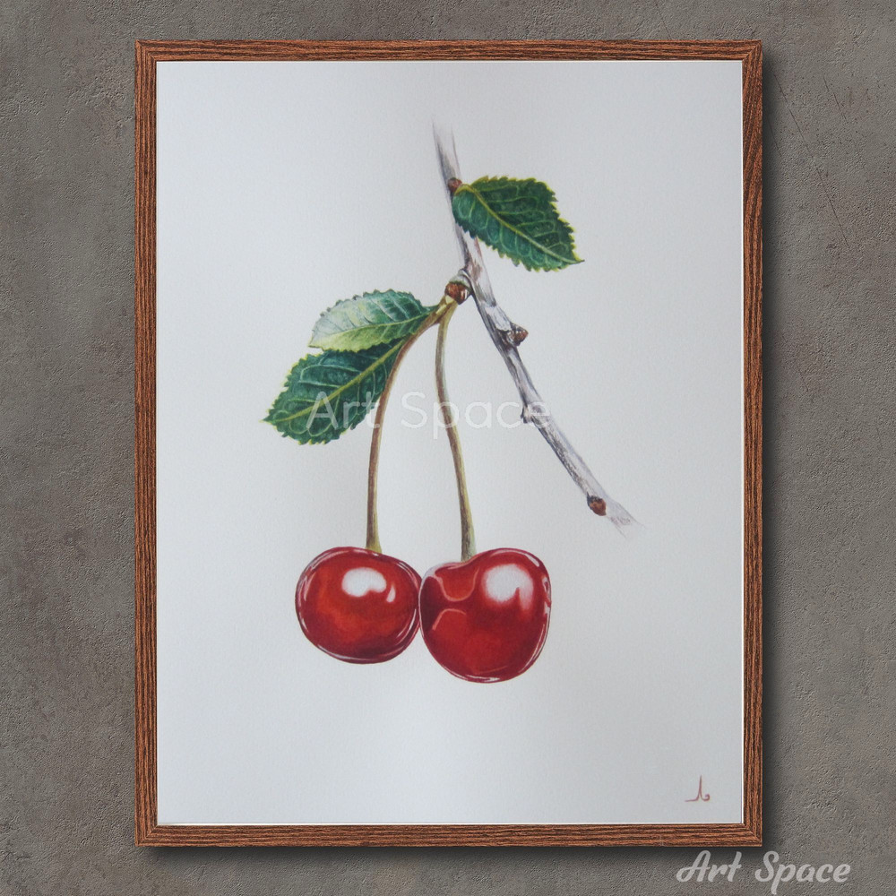 art-cherry-botany-illustration-berry-fruit-botanical illustration-1.jpg
