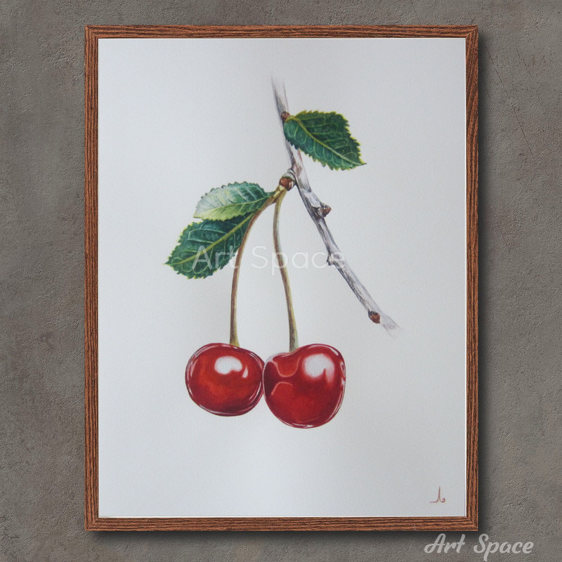 art-cherry-botany-illustration-berry-fruit-botanical illustration-1.jpg