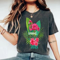 spring break 2023 flamingo tropical family beach vacations, beach vibes 2023 shirt, family matching shirt, vacation gift