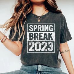 spring break squad shirt 2023 retro vintage sunset matching, beach vibes 2023 shirt, family matching shirt, vacation gif