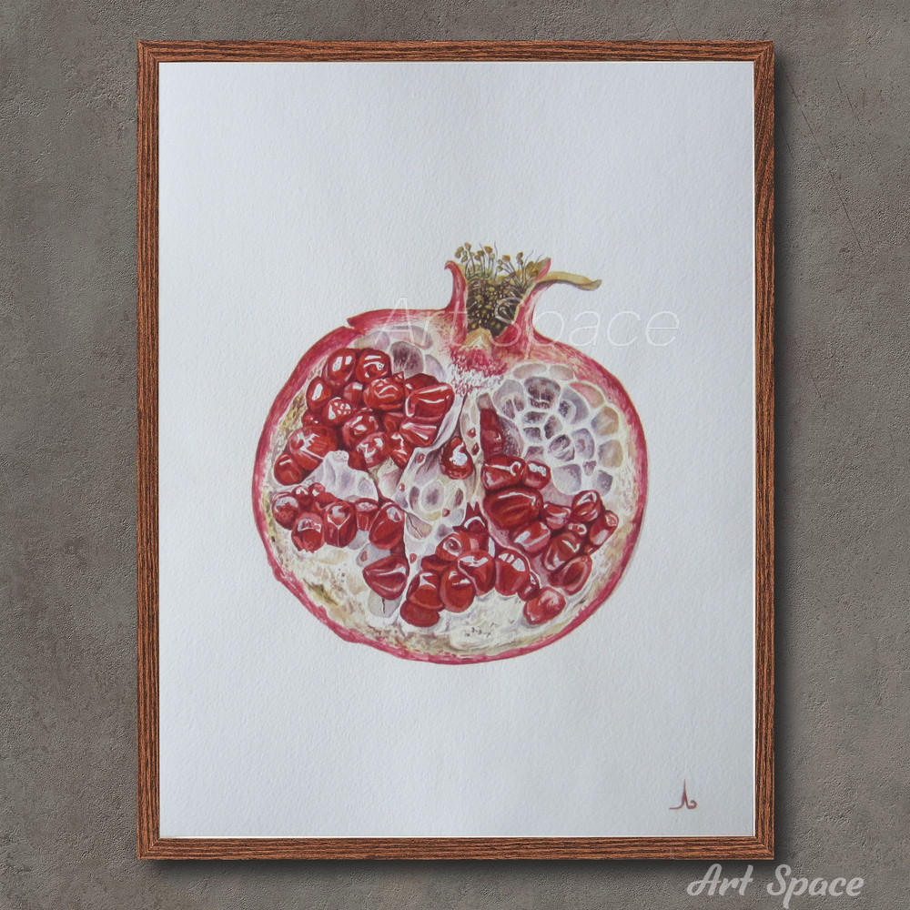 artpomegranatebotanyberry illustrationvegetablefruitbotanical illustration1jpg
