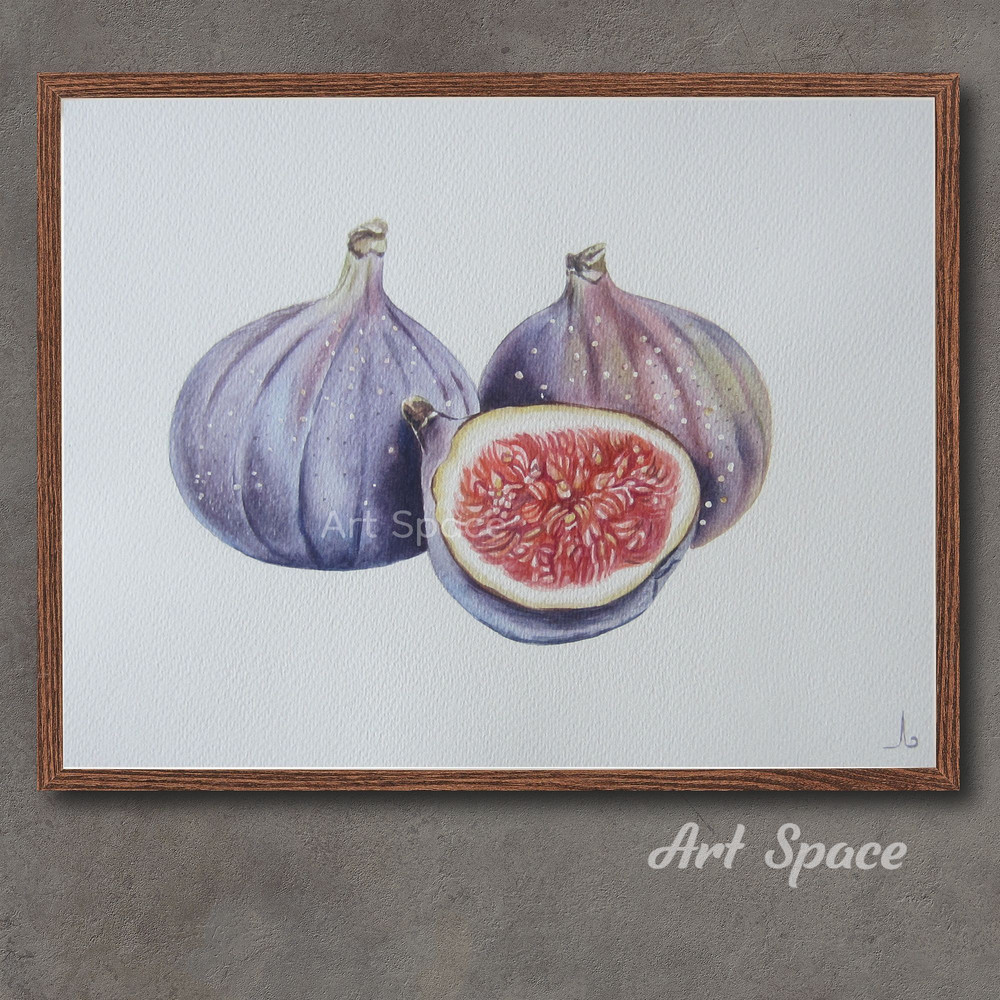 art-Fig-purple fruit-food image-Juicy-fruit drawing -pink pulp-peeled fruit-botany- illustration-berry-fruit-botanical illustration-1.jpg