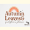 Fall Autumn Quote SVG Design.png