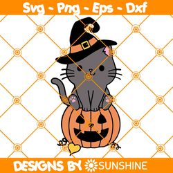 Witch Cat Pumpkin Svg, Halloween Cat Svg, Witch Cat Svg, Cute Cat Svg, Pumpkin Halloween Svg, File For Cricut