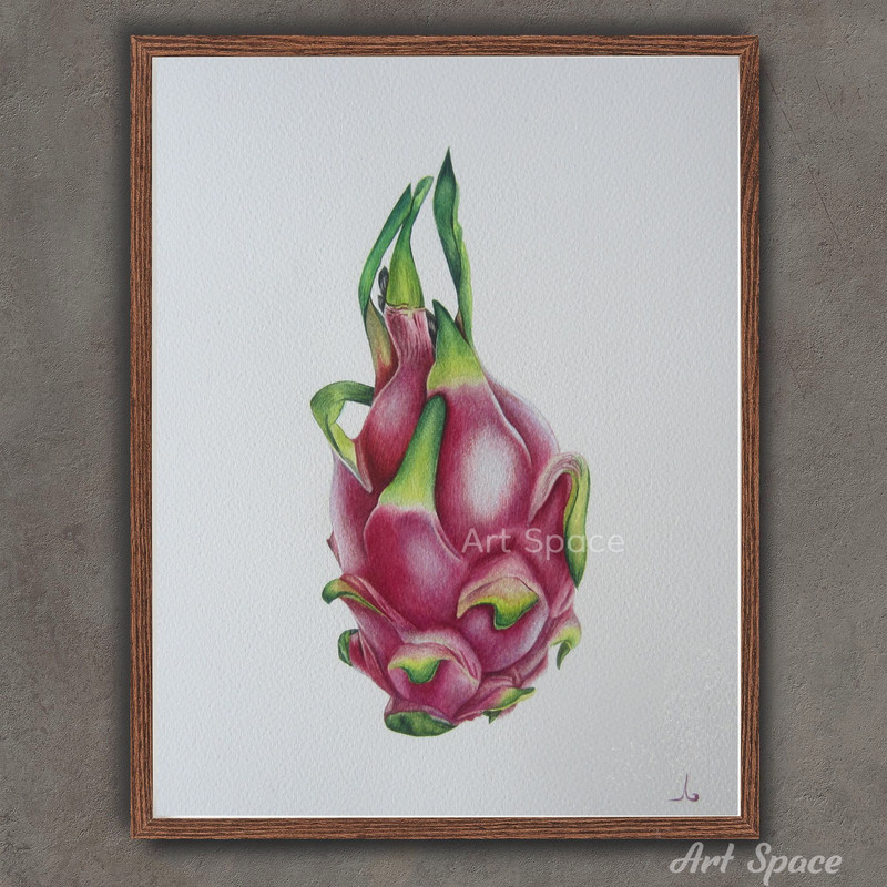 art-Pitaya- exotic fruit-food illustration-food image-Juicy-fruit drawing -pink pulp-peeled fruit-botany-illustration-berry-fruit-botanical illustration-1.jpg