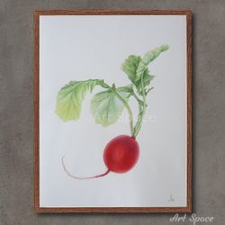 original watercolor painting "radish" kitchen decoration,botany, illustration, playroom, decoration for office, art