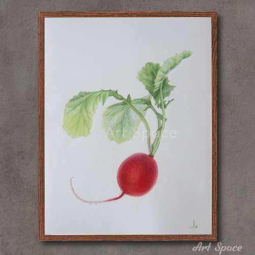 Original watercolor painting "Radish" kitchen decoration,botany, illustration, playroom, decoration for office, art