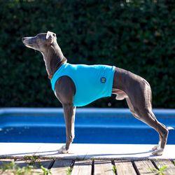 Comfortable running shirt for dogs of the Whippet breed. Length 55 cm, 22 inch