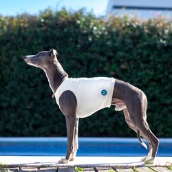 Modish running shirt for dogs of the Whippet breed. Length 55 cm, 22 inches