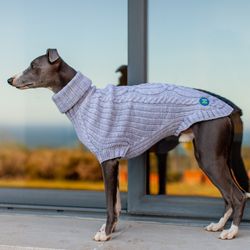 Cozy sweater for whippet. Back length 55cm. Warm knitted clothes for a dog.