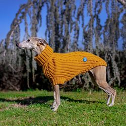 Whippet sweater. Warm knitted dog sweater. Fashion clothes for dogs. Size XL