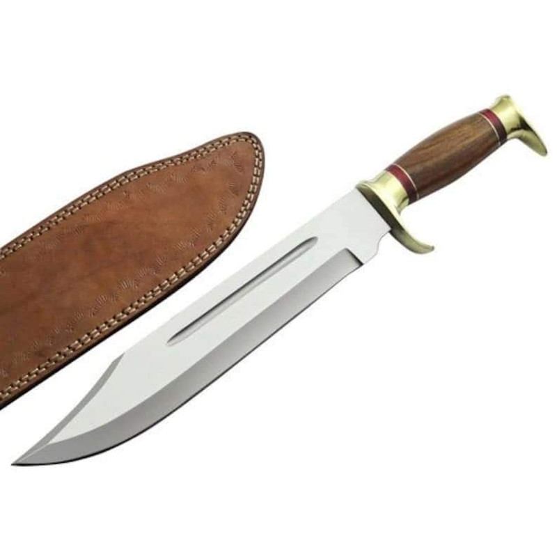 FBIMG1682592750716jpg