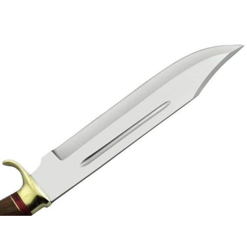 FBIMG1682592753149jpg