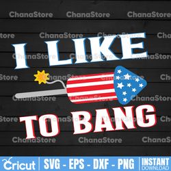 fireworks director 4th july svg, i like to bang svg, 4th of july couple, matching 4th of july svg