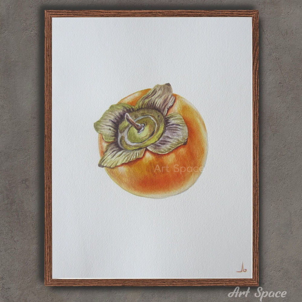 Persimmon- art-berries-food illustration-food image-Juicy-fruit drawing-botany- illustration-berry-fruit-botanical illustration-.jpg